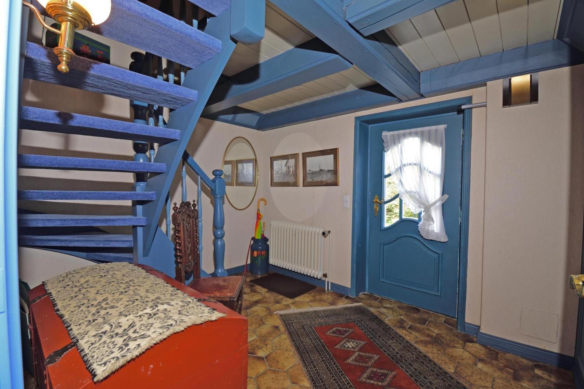 Teegelii Blaue Stranddistel Teegelii Hof Rantum (Sylt)